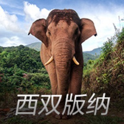广东养老金将喜迎2025年调整，涨多少？怎样涨？哪些老人更获益？